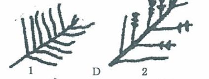 鸭羽绒好还是鹅绒衣服好,鸭毛绒和鹅绒的区别