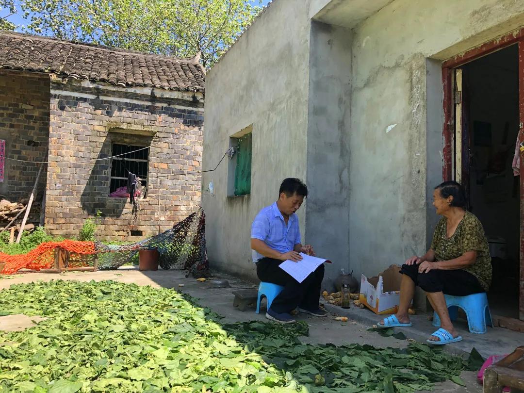 枣阳市创建乡村振兴示范县,襄州区乡村振兴扶贫工程