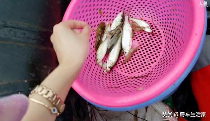 直播一场150万人围观,你知道啥叫房车户外打野团队吗?