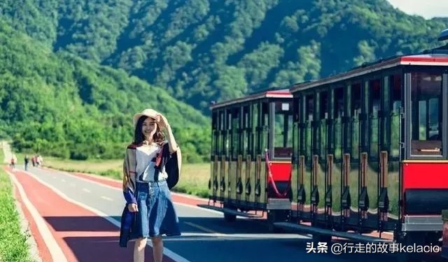 探秘神农架清凉好度夏,神农架大九湖避暑