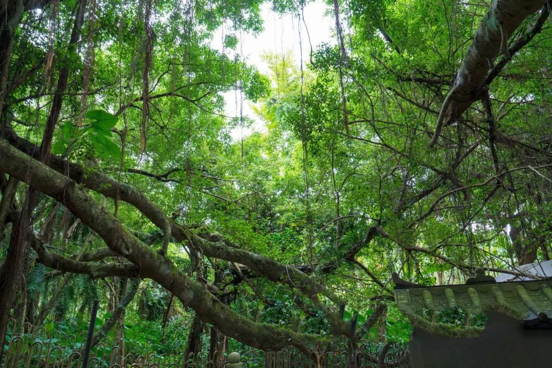 让你无法抗拒的海鲜餐厅,不一样的海南让你震惊