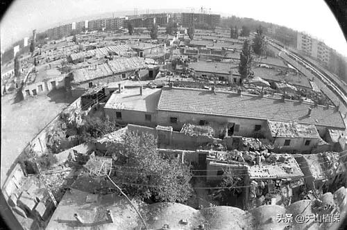 上榜啦！*疆新**鸟市和石市即将被国家命名！未来发展不可估量