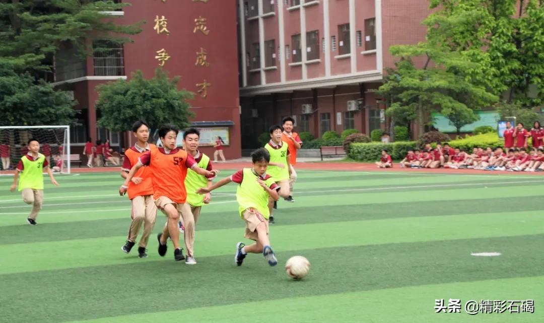 石碣四海学校排名,石碣四海小学招生简章