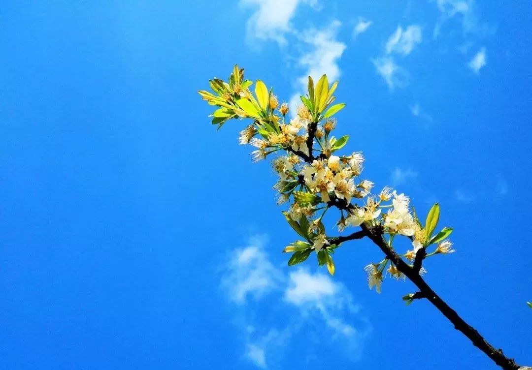 「儿童主播袁泽铭」《在路上》作者：碑林路人