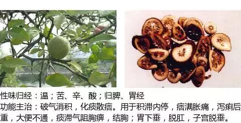常用中草药名称大全图片及药效,常用中草药药效大全