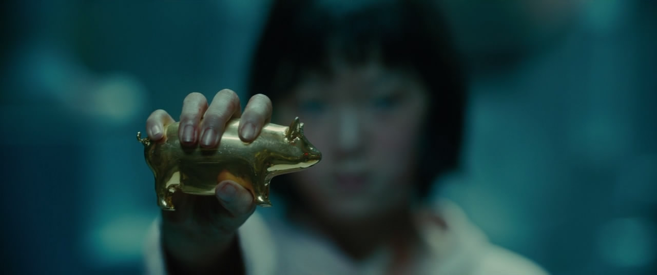 最近猪肉太贵了你们吃得起吗,最新最好的猪肉价格