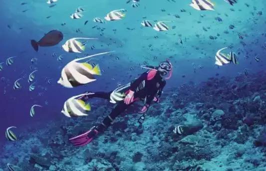 不出国门异域风光,不出国门就能看到各地风情