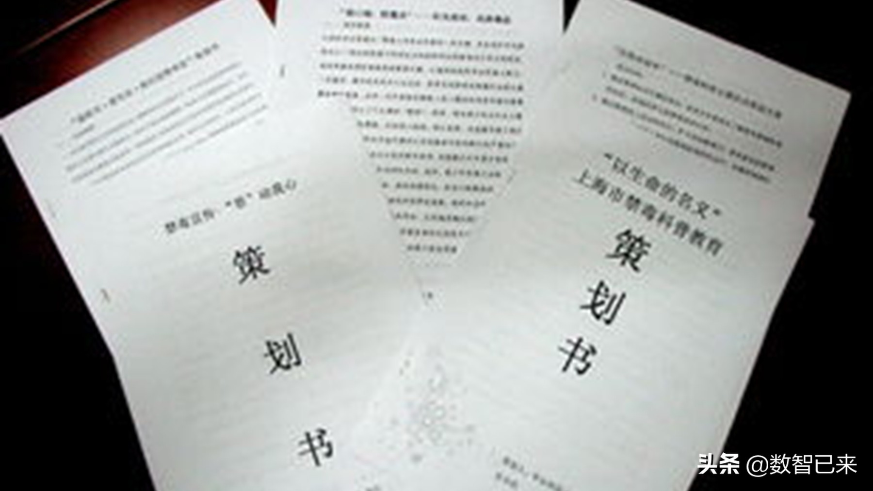 展会方案策划书,商业计划书