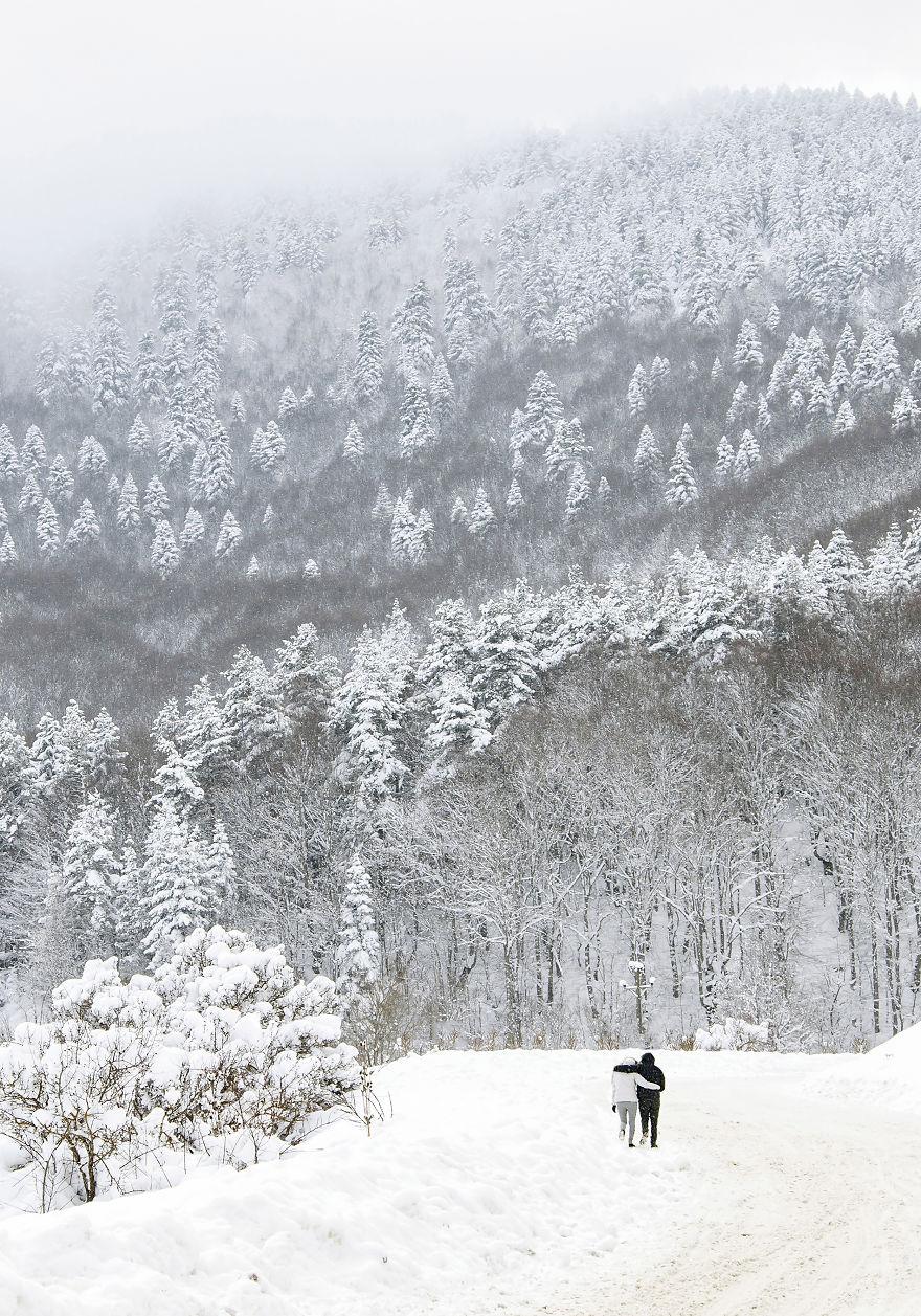 生物世界真的很奇妙,大自然中奇妙的生物