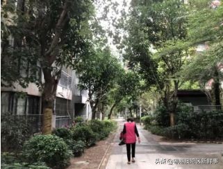 宀佹湀闈欏ソ澶氬Э澶氬僵,鑺辨牱骞村埆鏍峰煄娲嬫埧