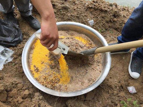 打窝打密集还是散,钓鱼打窝怎样记住打窝位置