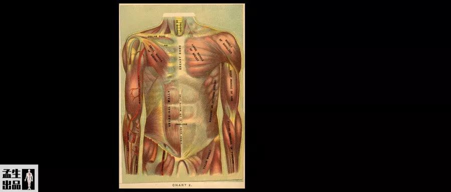 比肌酸更好的补剂,最棒的补剂肌酸的全面指南