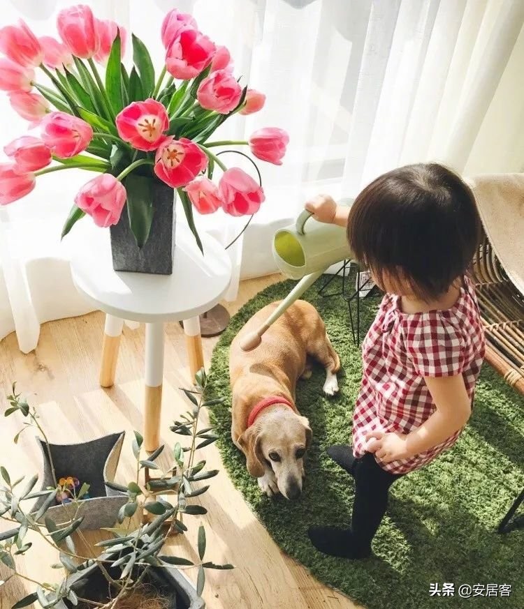 萧敬腾家里八层楼,萧敬腾的家究竟有多豪华