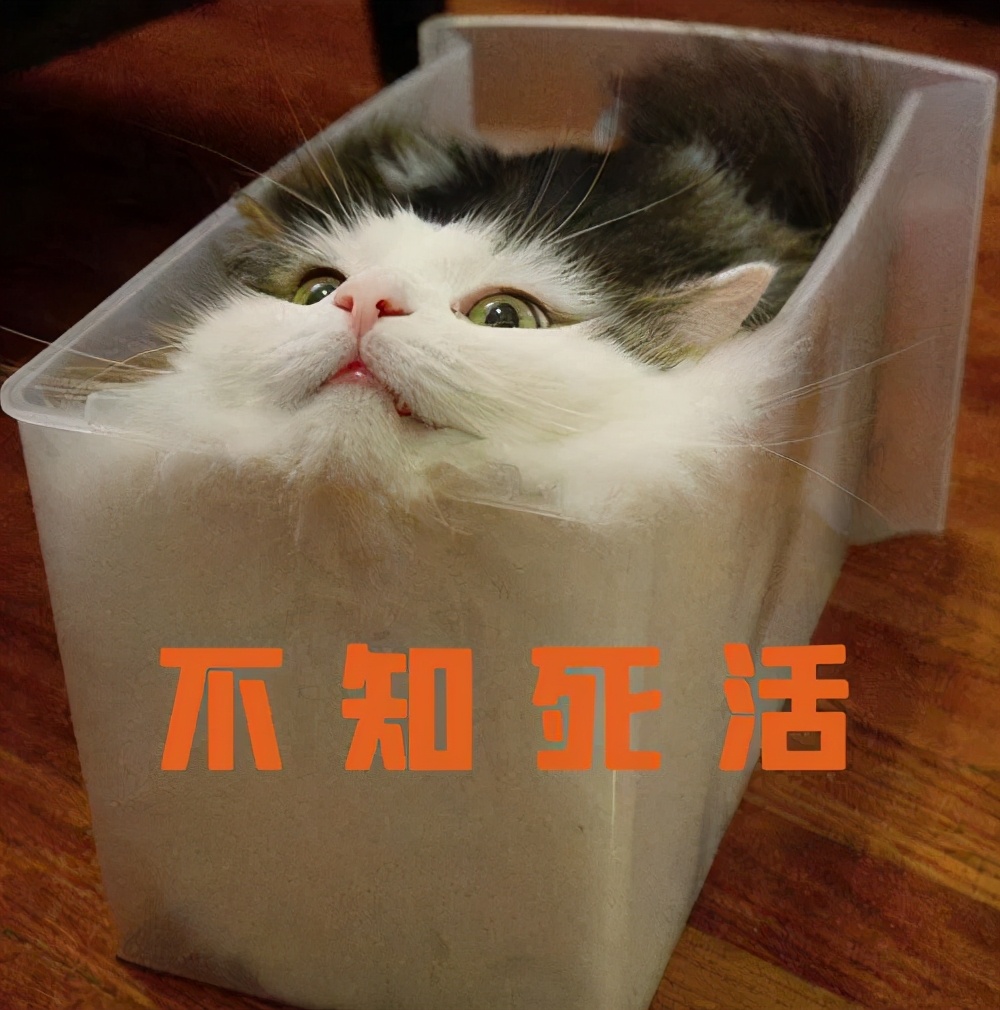 看一颗牙要多少钱啊,看一个牙需要多少钱