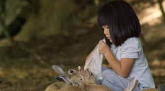 豆瓣9.1，看一次被萌一次，根本顶不住它们的可爱