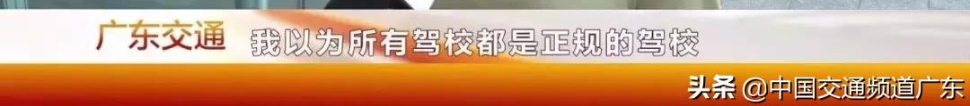 猪兼强事件最新情况,猪兼强驾校最新消息