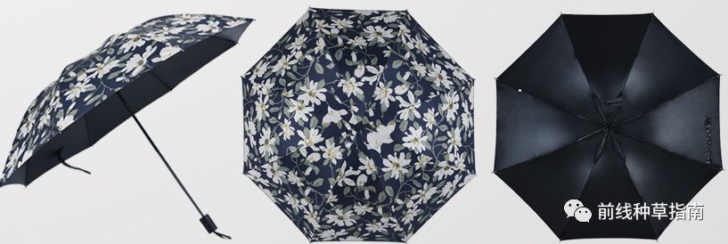 五一出游必备十大指南,五一旅游要避开哪些坑