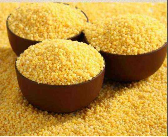 山西特产沁州黄小米,山西沁州黄小米营养价值