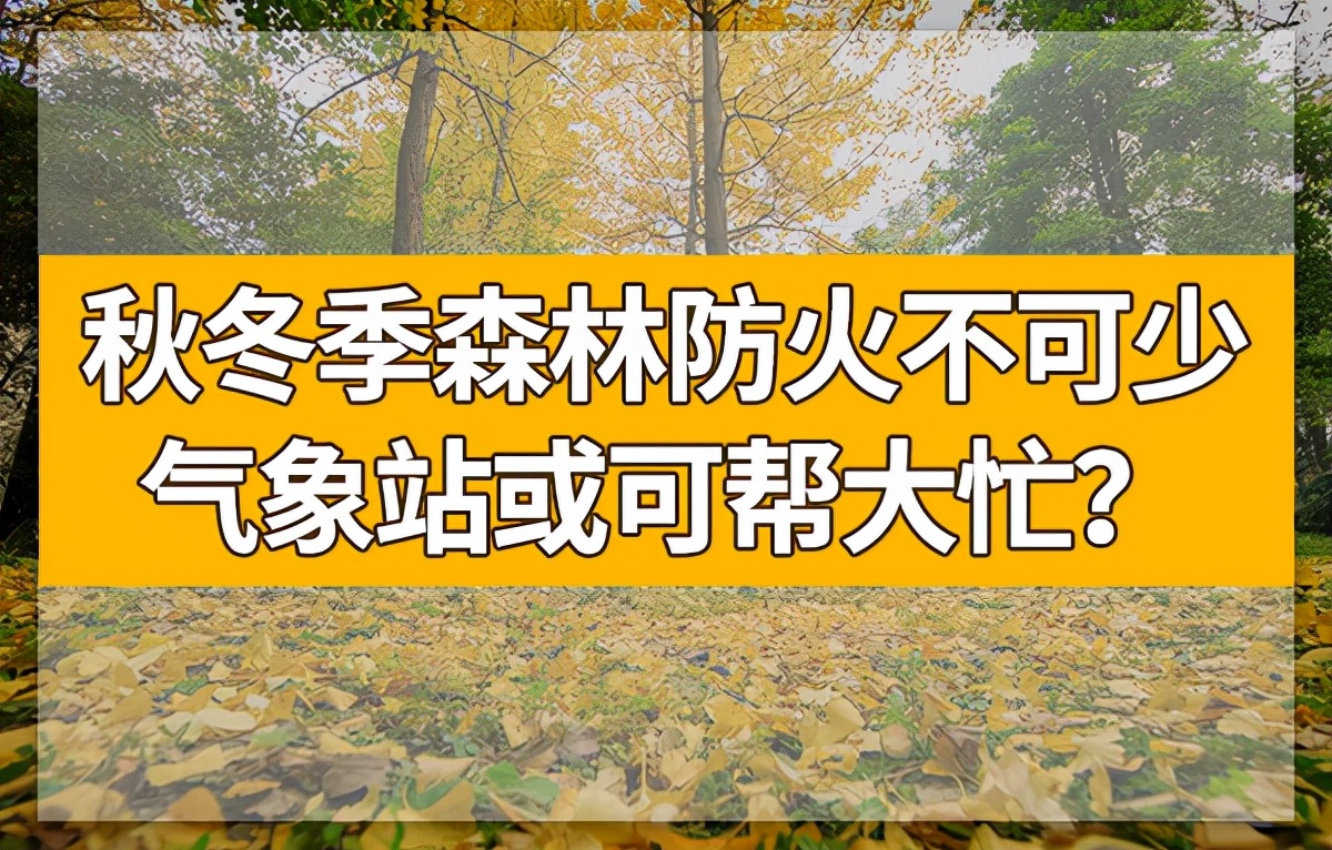 进入秋冬季森林防火期,森林防火需要哪些气象信息