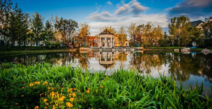 助力健康中国,助力健康中国战略