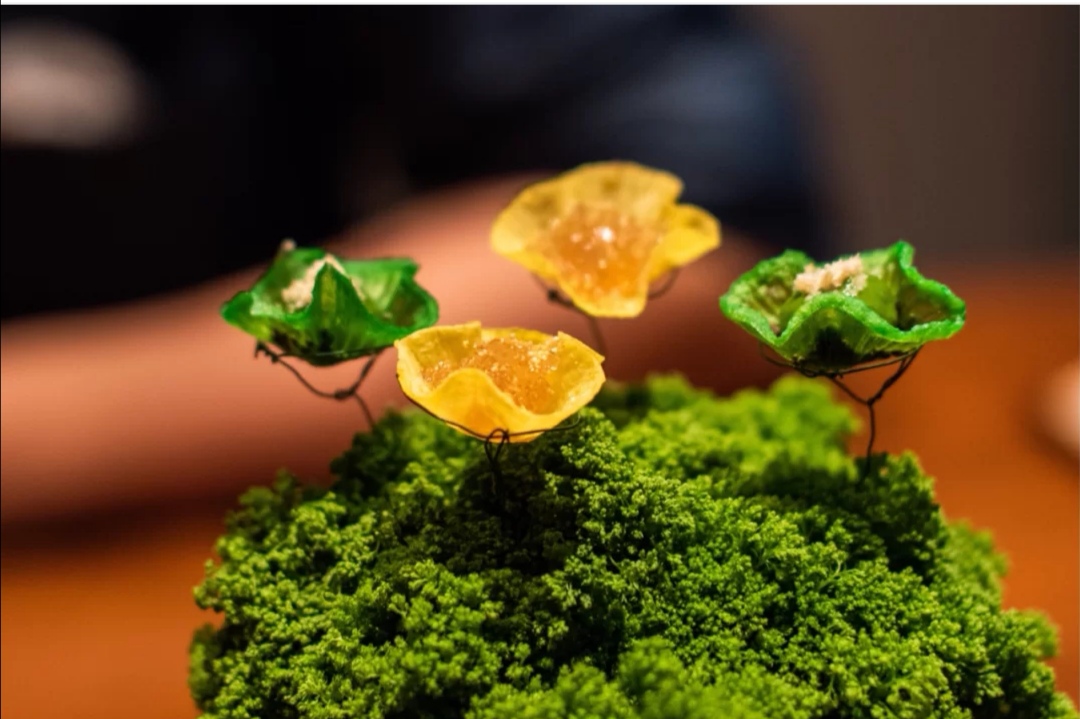 孙俪食堂,孙俪素食一日三餐