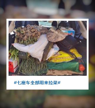 回趟家就像走亲戚一样,回趟家像回东北一样