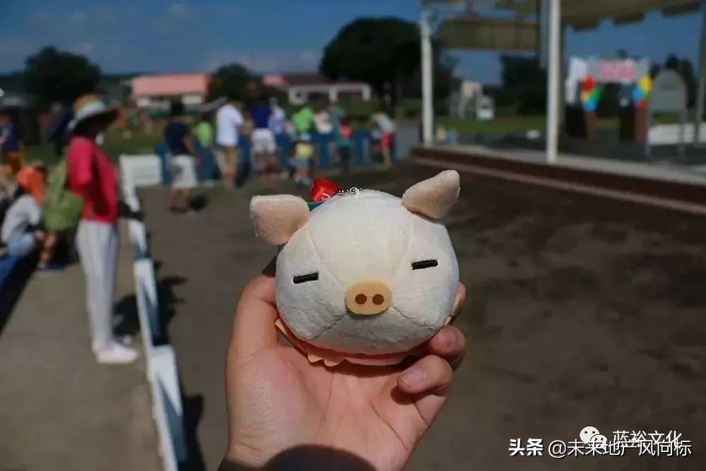 母亲牧场要玩多久,低成本花园家庭农场亲子乐园