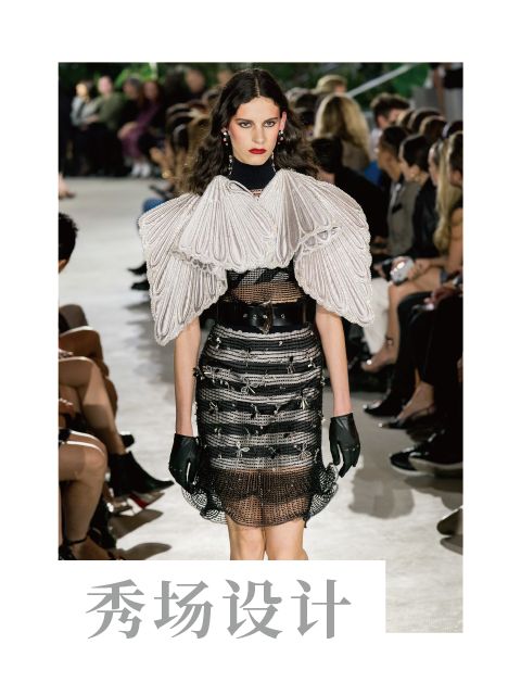 娱乐圈的小花有哪些,娱乐圈里的小花