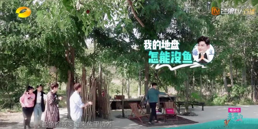 张翰霸道总裁油腻名场面,张翰霸道总裁出场合集帅气