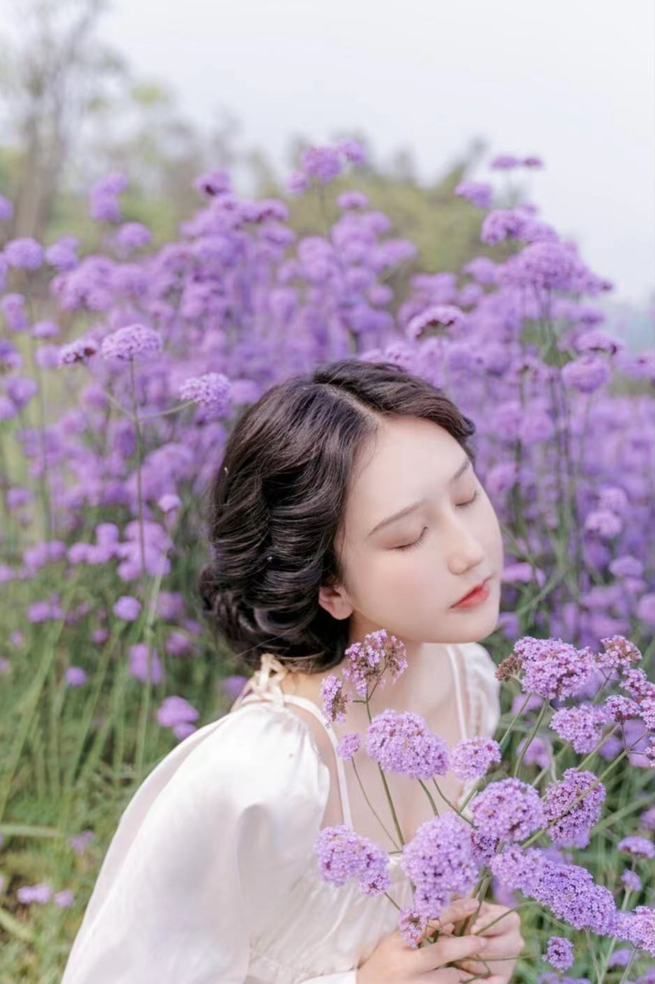 拍马鞭草与人摄影技巧,马鞭花怎么拍出大片