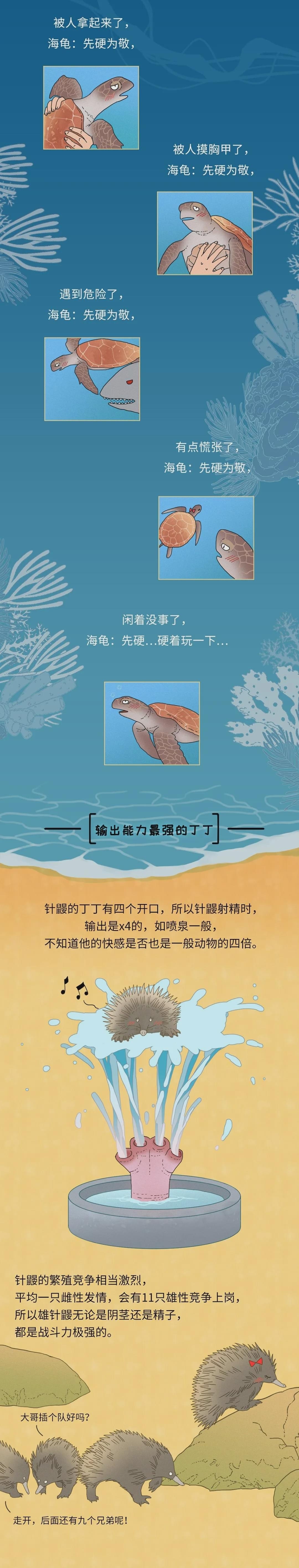 为什么同样是丁丁，差距却这么大？34cm竟然排垫底