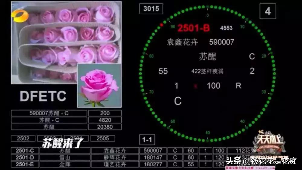 花卉市场购物,亚洲第一花卉交易市场排名