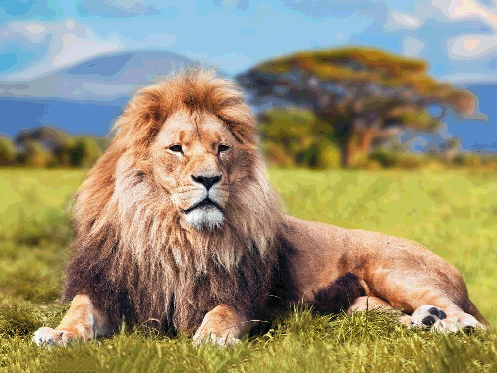 十大最残忍的部落,最原始的部落战斗