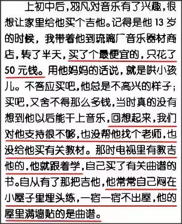 羽泉目前状况,羽泉的真正实力