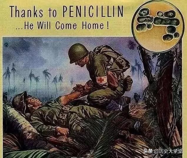 人类历史上十大鼠疫死亡事件,鼠疫发生在哪年死多少人