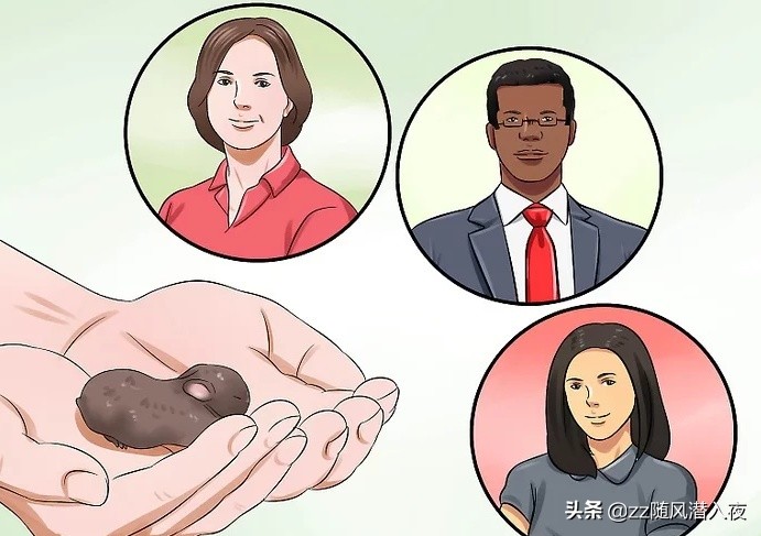 怎么照顾怀孕的兔子,如何照顾怀孕的兔子