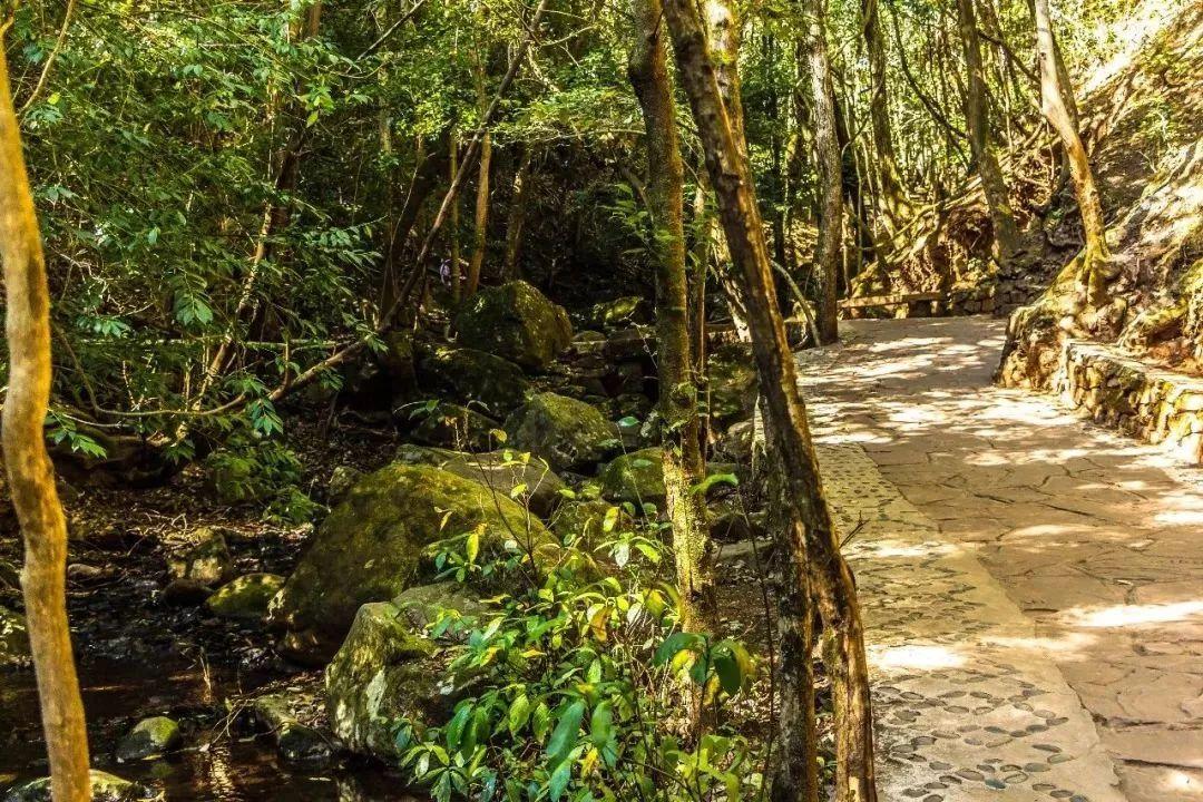 冬天的青龙峡旅游攻略,昆明安宁市青龙峡