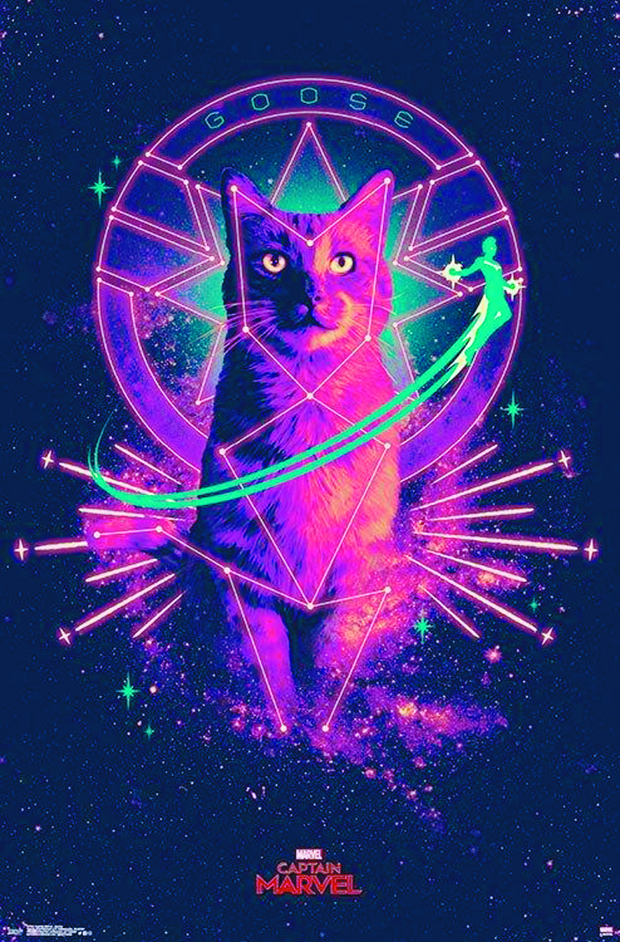 惊奇队长中的橘猫叫什么名字,惊奇队长里有没有出现大橘猫