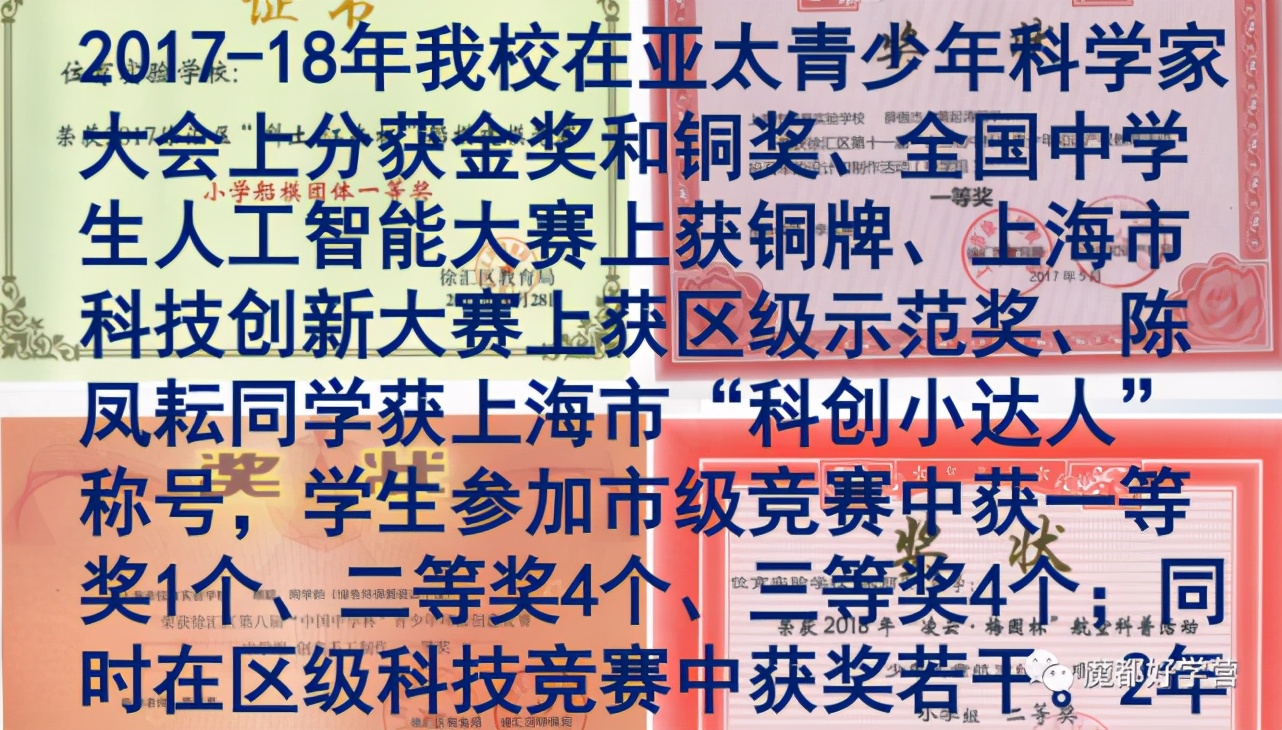 徐汇区一贯制学校,徐汇区九年制一贯制学校