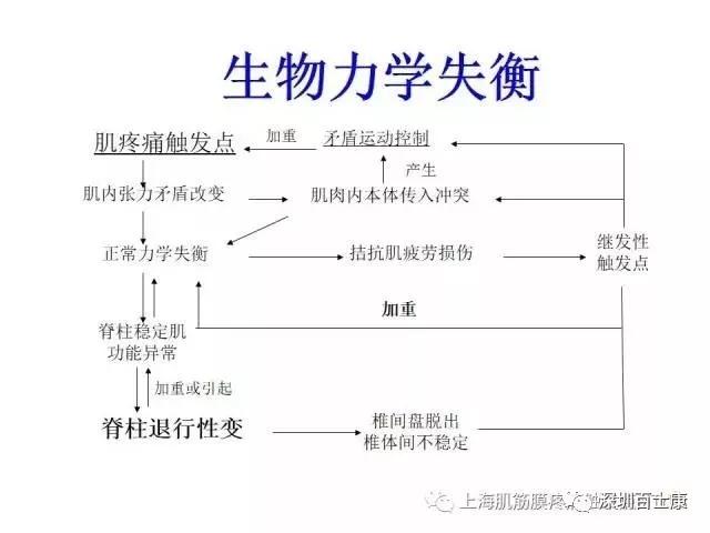 肌筋膜疼痛讲的是什么,最全肌筋膜触发点图解