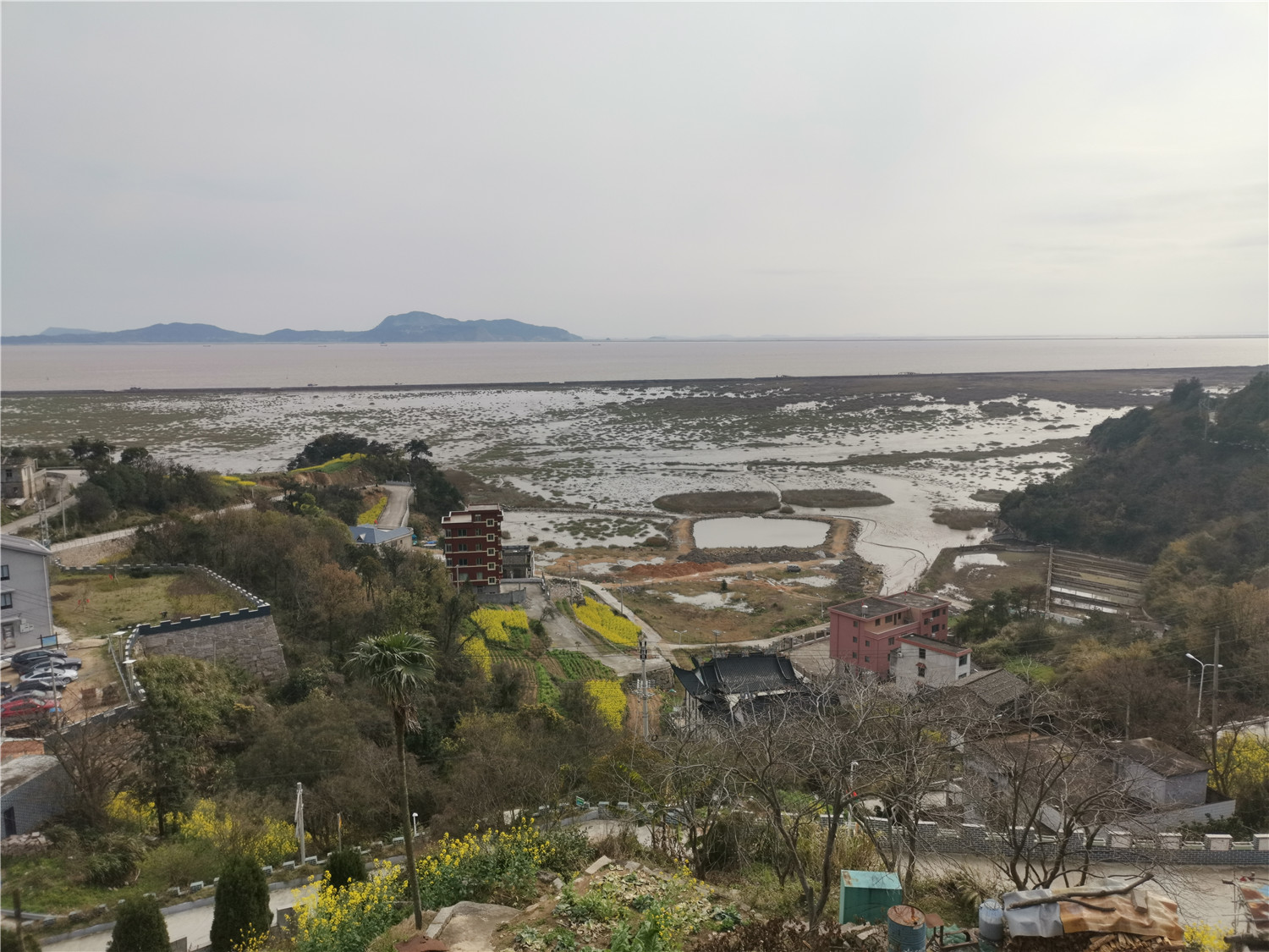 v20荣耀升级鸿蒙感受,荣耀v20升级鸿蒙2.0.0.165好不好