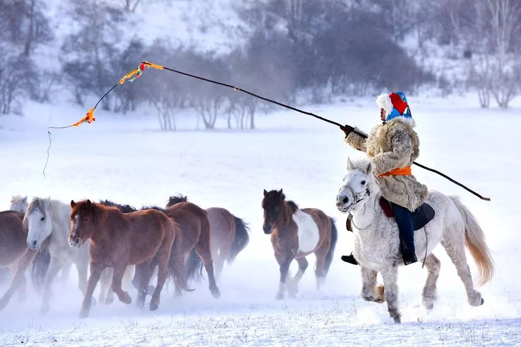 坝上风情坝上人,坝上哪最适合露营