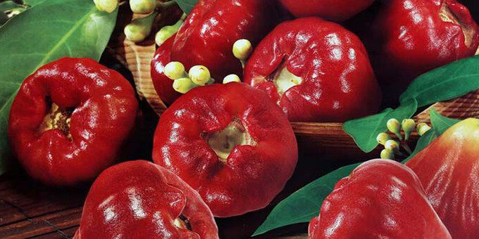 三亚自由行最全攻略,三亚旅行攻略大全最新