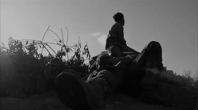 豆瓣评分8以上国产战争电视剧,豆瓣高分国产战争电影