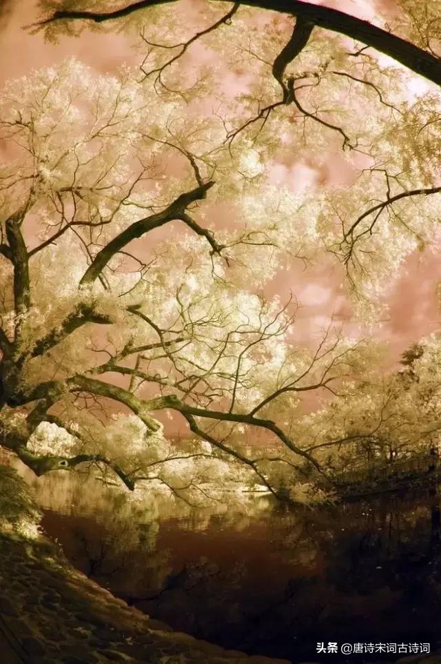 古诗词拨动了我的心弦,拨动我心弦古诗词