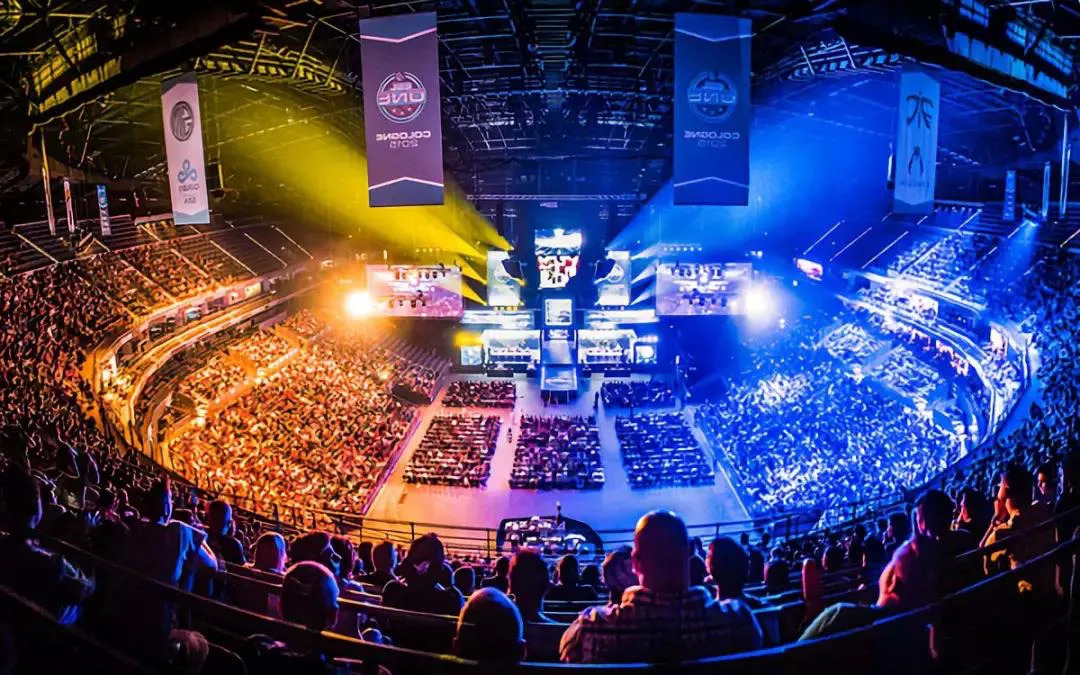 4am小象,4am战队和小象