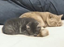 淘宝佛系卖家是真的吗,什么是佛系淘宝