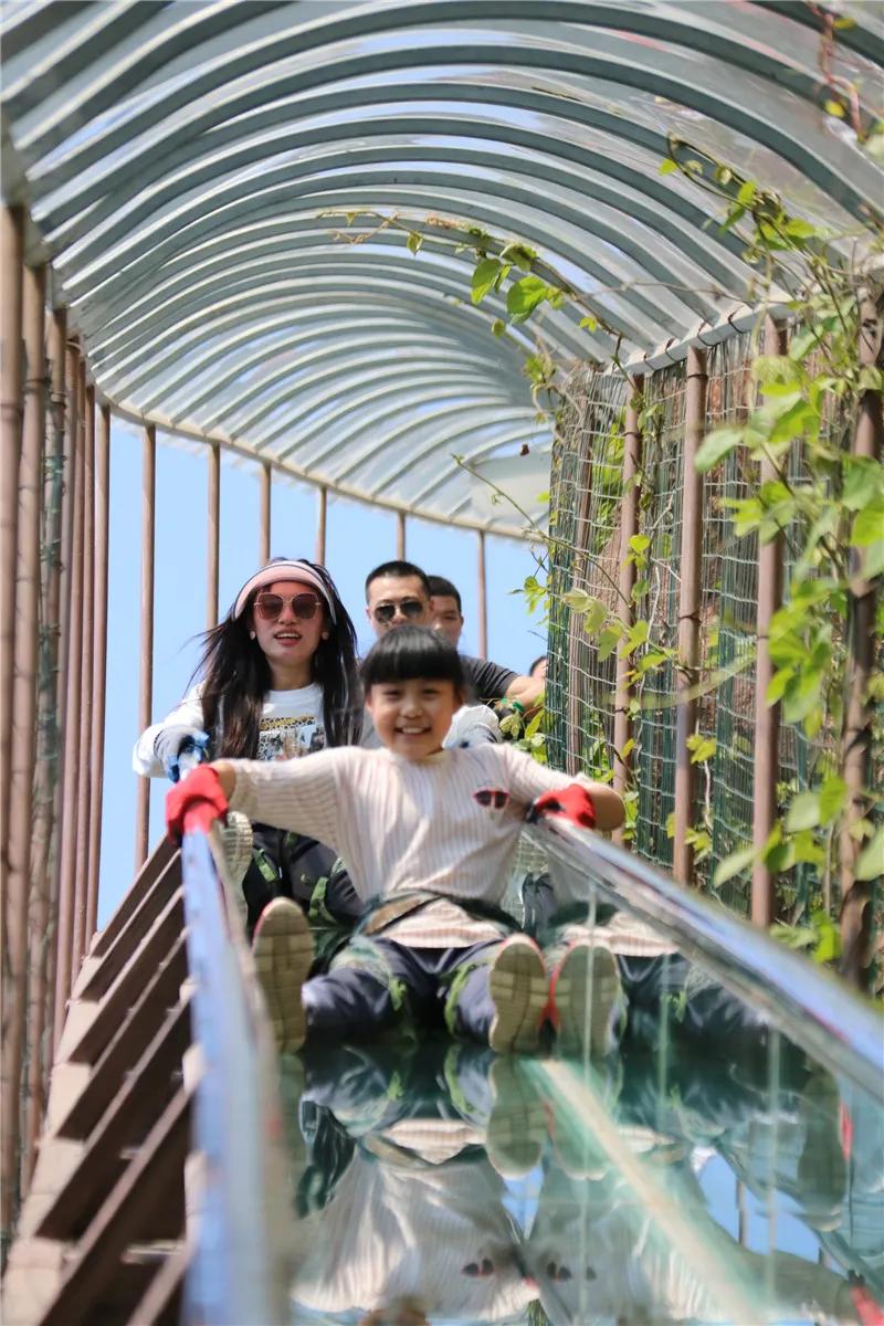 抱犊崮门票半价政策,中考生福利重庆