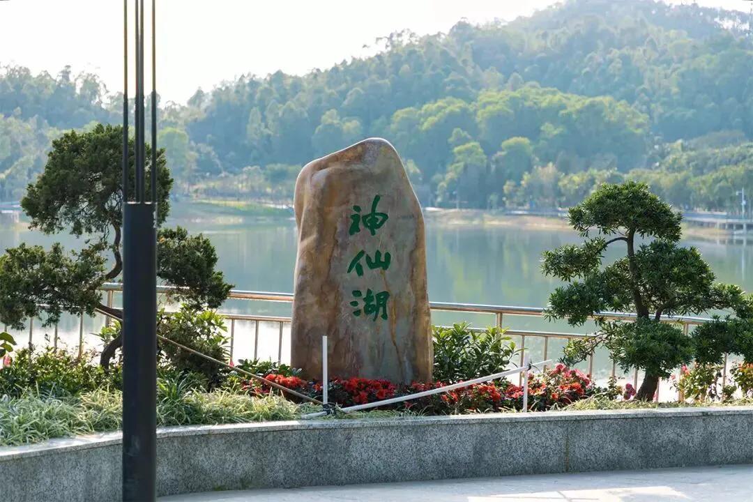 湖泊风景区推荐,深圳十大免费主题公园