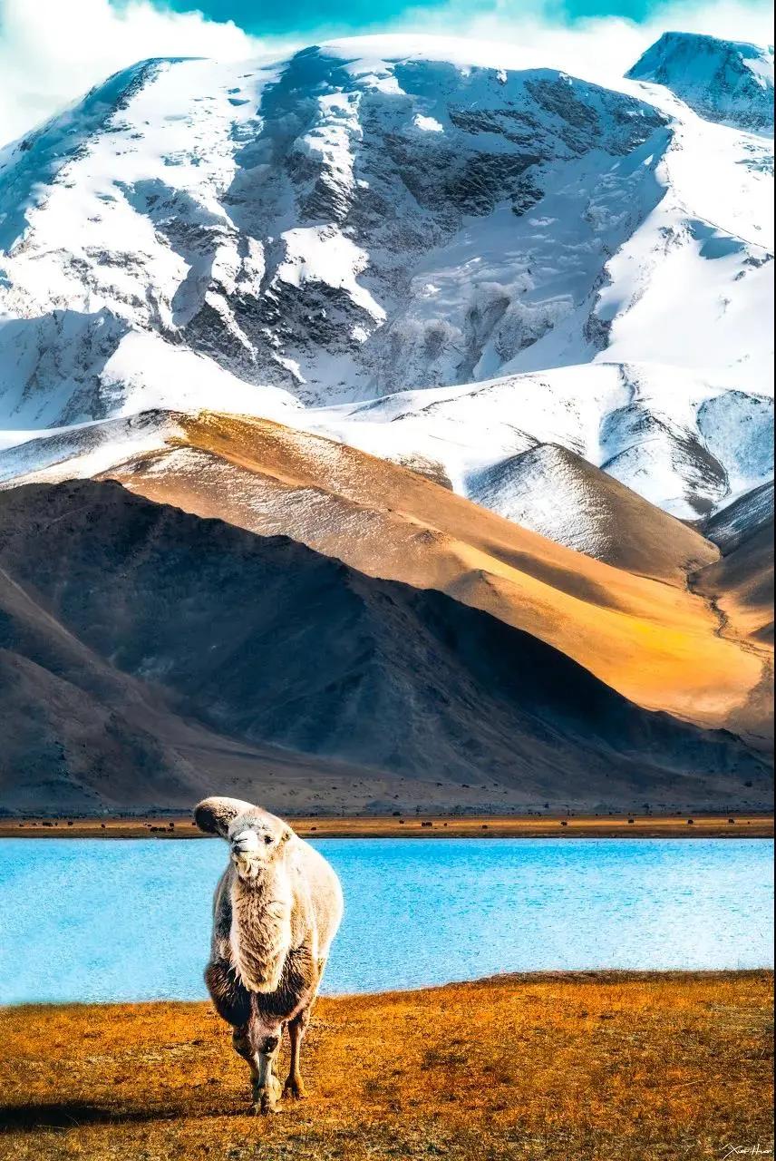 终于攒够了年假,年假怎么攒